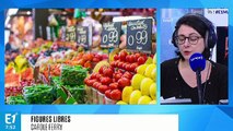 Le secteur agricole français en crise : quid de nos voisins européens?