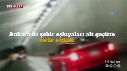 Şehir eşkıyaları alt geçitte terör estirdi