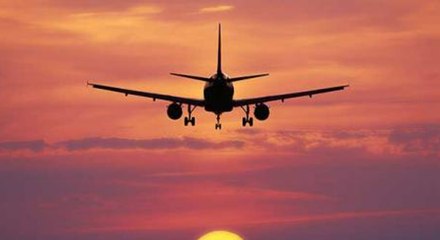 தவறான விமானத்தில் ஏறிவிட்டதாக கூறி விமானத்தின் ஜன்னலில் இருந்து குதித்த நபர்- வீடியோ