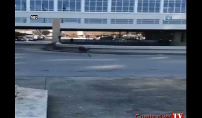 Yanlışlıkla şehir merkezine inen geyik bakın ne yaptı...
