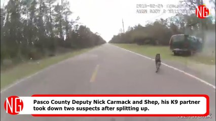 Police & K9 Partner Split Up To Catch Two Suspects