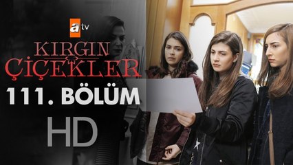Kırgın Çiçekler 111. Bölüm