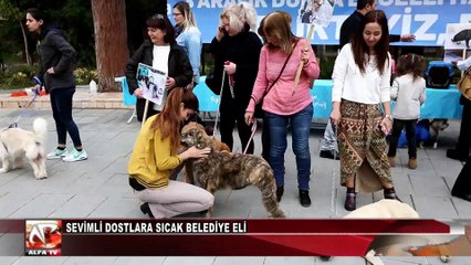 Sevimli Dostlara Sıcak Belediye Eli