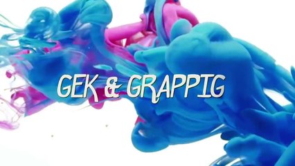 BESTE VAN INTERNET GEKKIES, BOZE MENSEN, GEKKE/GRAPPIGE COMPILATIE #2 (2018)