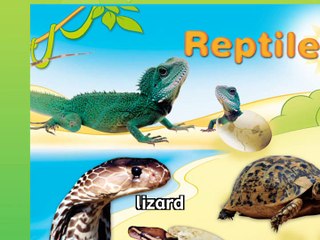 Happy Heart Level 2 Across the Curriculum 3 Reptiles