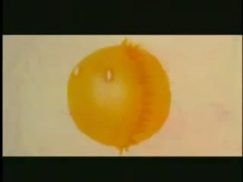 Ho Yeow Sun (何耀珊) . Embrace - 春天的微笑