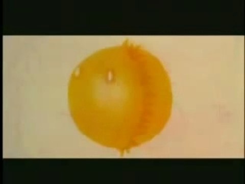 Ho Yeow Sun (何耀珊) . Embrace - 春天的微笑