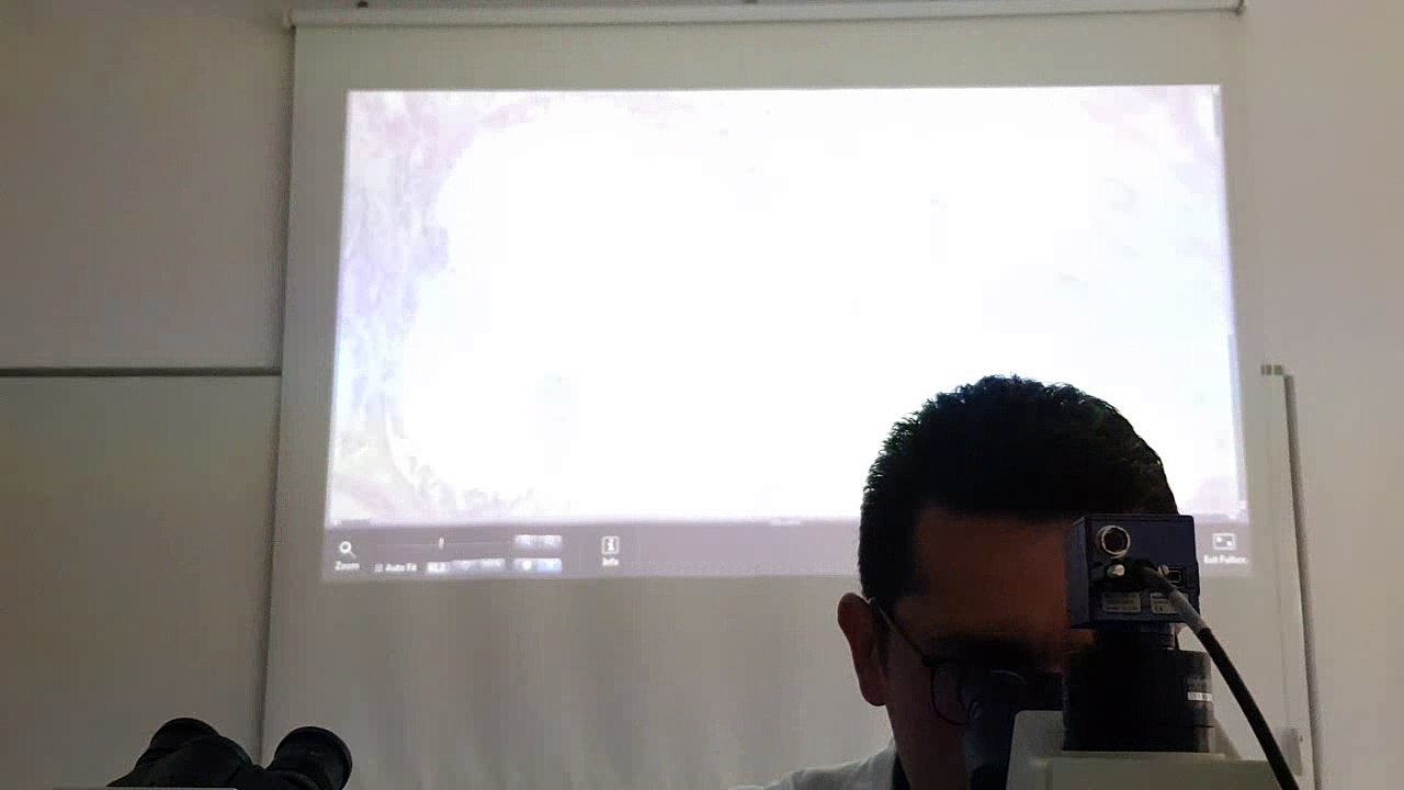 89