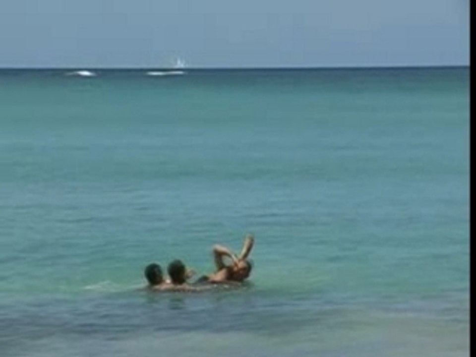 alerte a malibu parodie