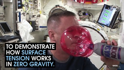 Water Experiments In Space