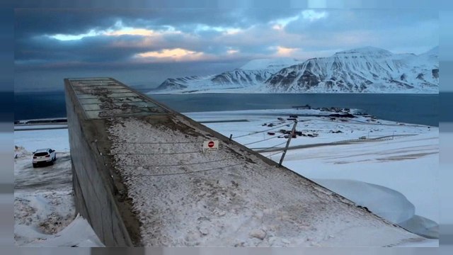 Arche de Noé du Svalbard : un million d'espèces végétales à l'abri