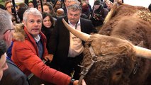 Dans le sillage de Laurent Wauquiez