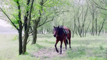 Diễm Cốt Tập 35 VietSub - Thuyết Minh