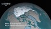 La vidéo effrayante de la fonte du Pôle Nord entre 1984 et 2016