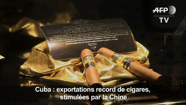Cuba : exportations record de cigares, stimulées par la Chine