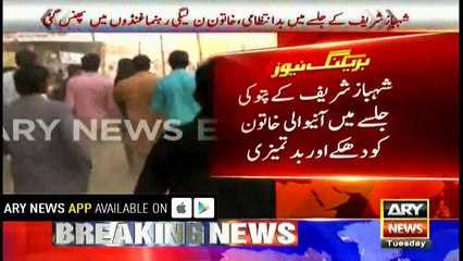 Rana Sanaullah on woman's claim of abuse at PML-N rally