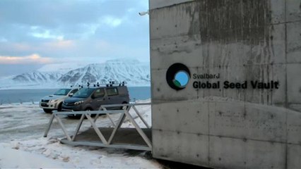 Tíz éves a norvég élelmiszer-génbank