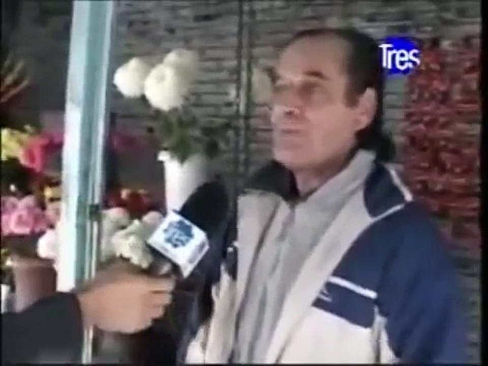 Cão morre ao lado da sepultura do dono depois de 9 anos a se recusar sair de lá