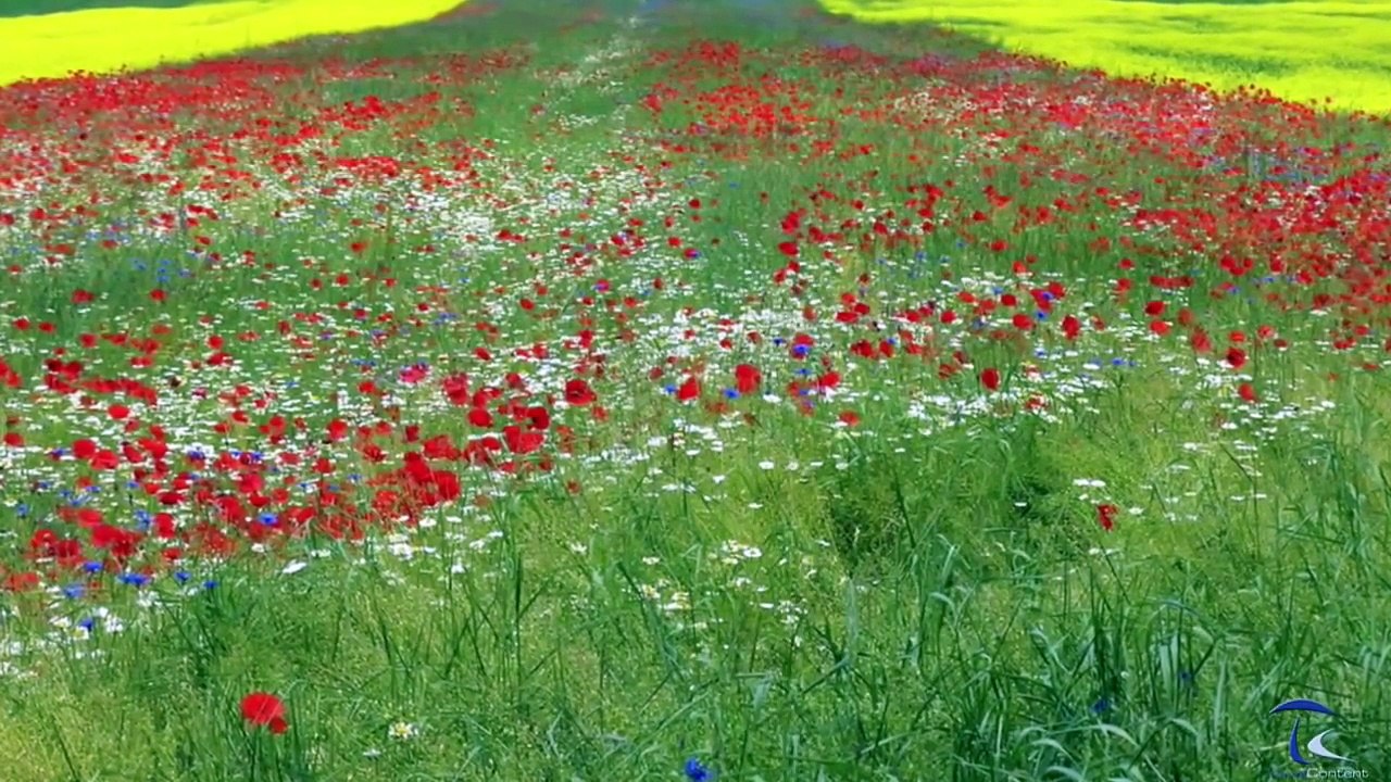 Umbria - Italy