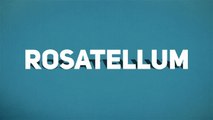 Rosatellum: ciò che devi sapere prima di votare