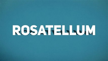 Rosatellum: ciò che devi sapere prima di votare