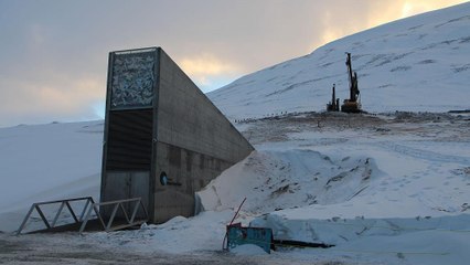 Gut gekühlt: Spitzbergens Samenbank