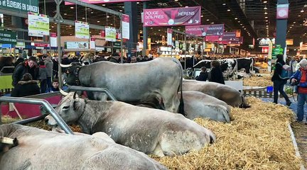 Les Hautes-Alpes au Salon de l'agriculture 2018