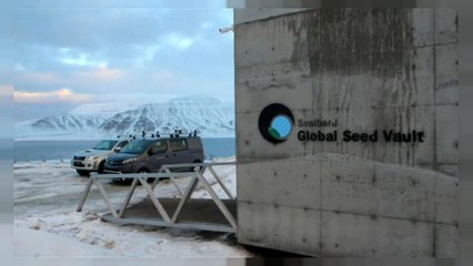 Svalbard Global Seed Vault celebrates tenth anniversary with special delivery