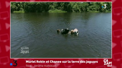 Muriel Robin nage au milieu des crocodiles !
