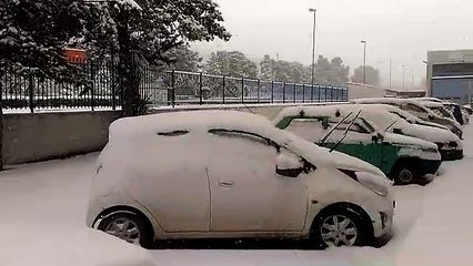 Neve a Minervino Murge, "il balcone delle Puglie" imbiancato