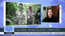 Colombia: sectores sociales saludan cese al fuego unilateral del ELN