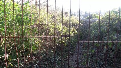 Cober Valley Viaduct