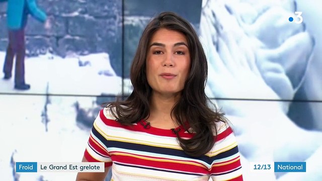 Vague de froid : températures glaciales dans le Grand Est