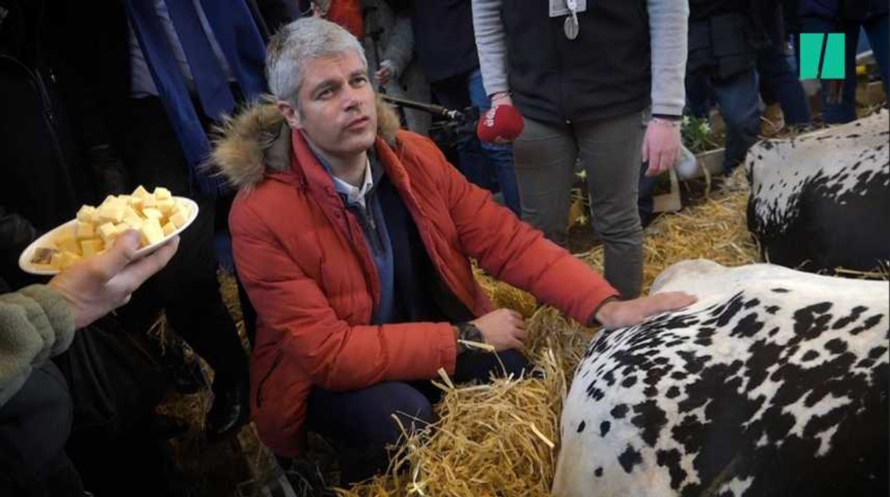 Wauquiez était plus paysan qu'un paysan au Salon de l'agriculture