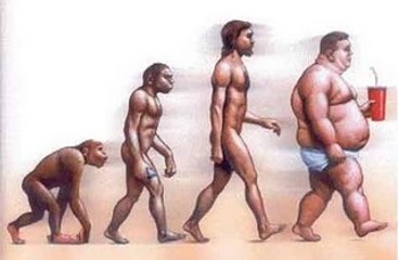 ORDEN ESPECIAL,SERIE TV,HUMOR,CAPITULO: EL MACHO IBERICO,ALBERT BOADELLA,PRESIDENTE DE TABARNIA