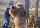 Real Life Bear Hugs - From Real Bears!
