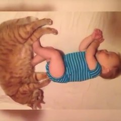 Baby And Cat | Cats | Kitten | baby