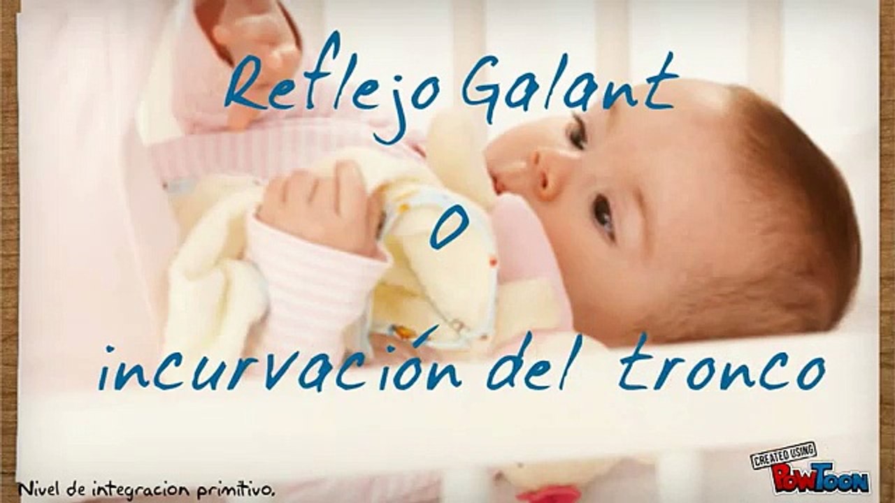 Reflejo de Galant