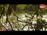 Leopardi ndeshet me një krokodil në bregun e lumit, shikoni se kush del fitimtar (360video)