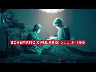 Schematic x Polaris - Sculpture