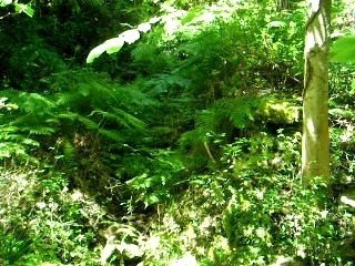 Pause détente à Vénaco...