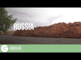The Ugly Truth About Bioenergy | Russia