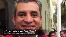 Ochoa Reza  opina que José Antonio Meade es la mejor opcion que se vaya a la CHING...