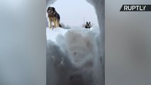Rússia congelada!