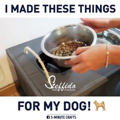 Incredible DIY ideas for your pets. via STEFFIDO, bit.ly/2jt0CBQ, bit.ly/2iiKvmE, bit.ly/2AJkjIG