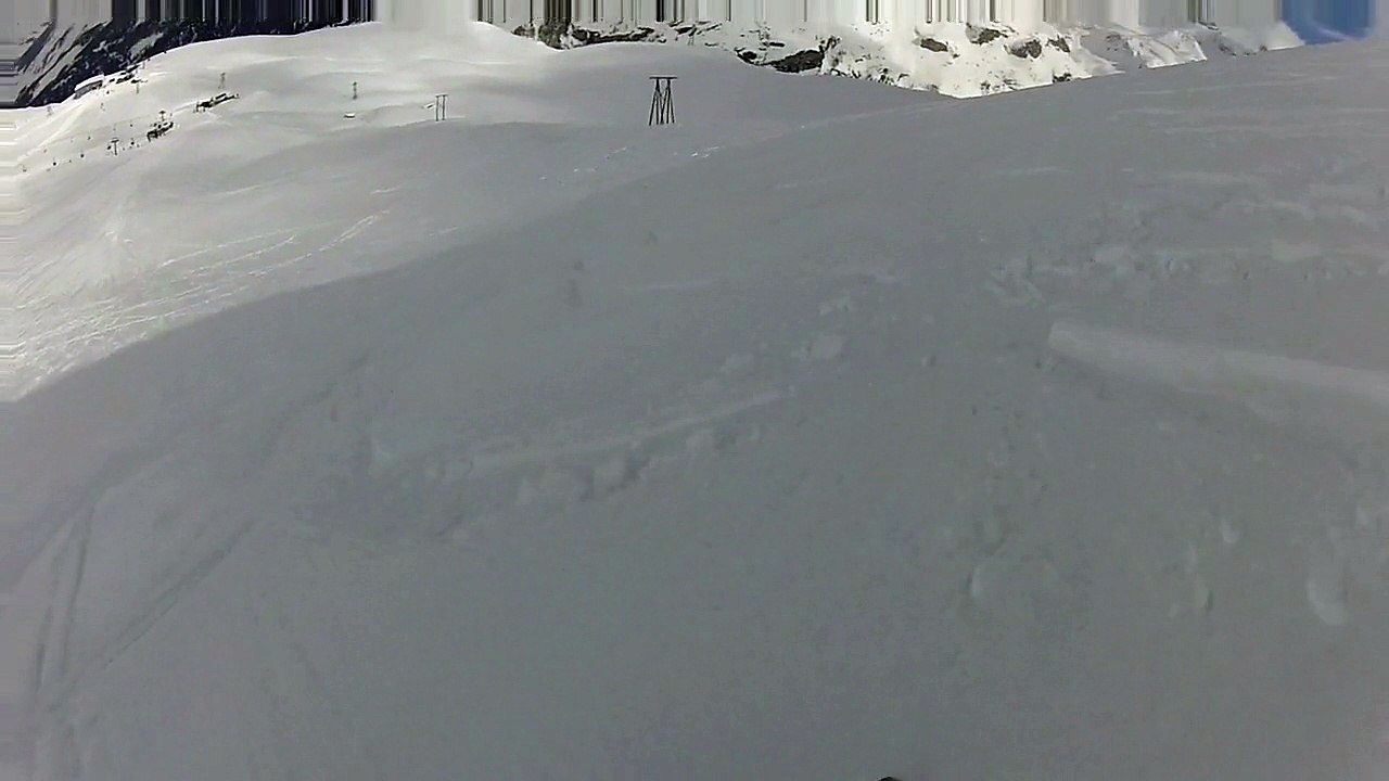 Tignes 2018 - Grosse peuf sur les bords de Rhododendron