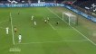 Jordan Ayew Goal  - Swansea City vs  Sheffield Wednesday 1-0  27/02/2018