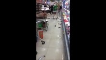 When A Fish Reservoir Breaks In A Supermarket