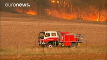 Australia: Wildfires rage in New South Wales heatwave