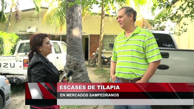 Escasez de tilapia en mercados sampedranos